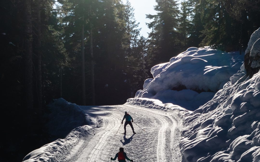 Nordic Skiing in Truckee Lake Tahoe: The Best Places to Glide