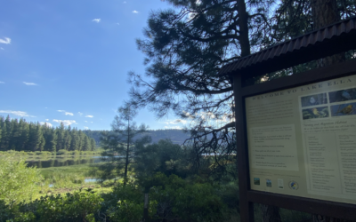 Trails Unveiled: Hiking Adventures Around Soaring Ranch in Tahoe